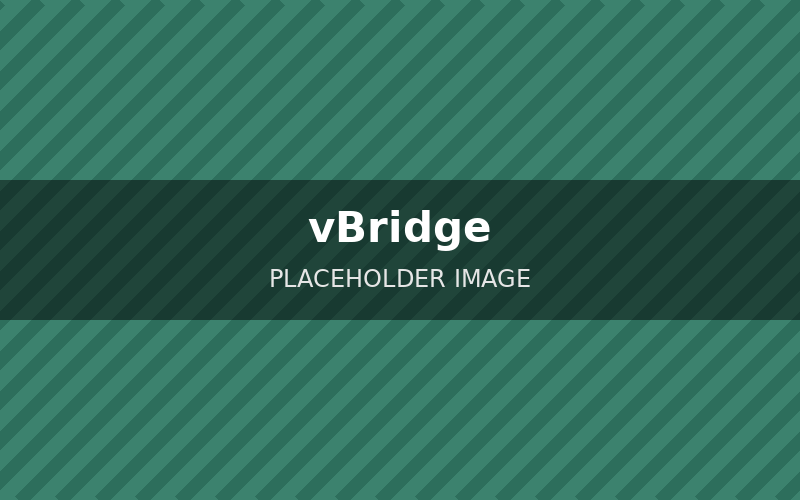 vBridge English training center platform